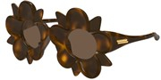 Satın al, veya bu resmi büyüt, Bottega Veneta BV1399S-008.