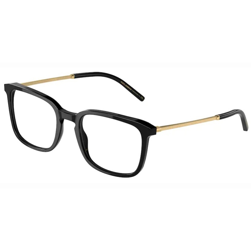 DOLCE E GABBANA 0DG3349-501