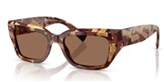 Dolce e Gabbana 0DG4462-346273