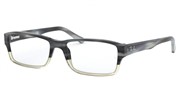 Ray Ban RX5169-5540